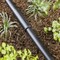 Raindrip Raindrip 5/8 in. Compression Drip Irrigation Coupler 2 pk R345CT - alternate 2